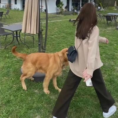 老炮儿
